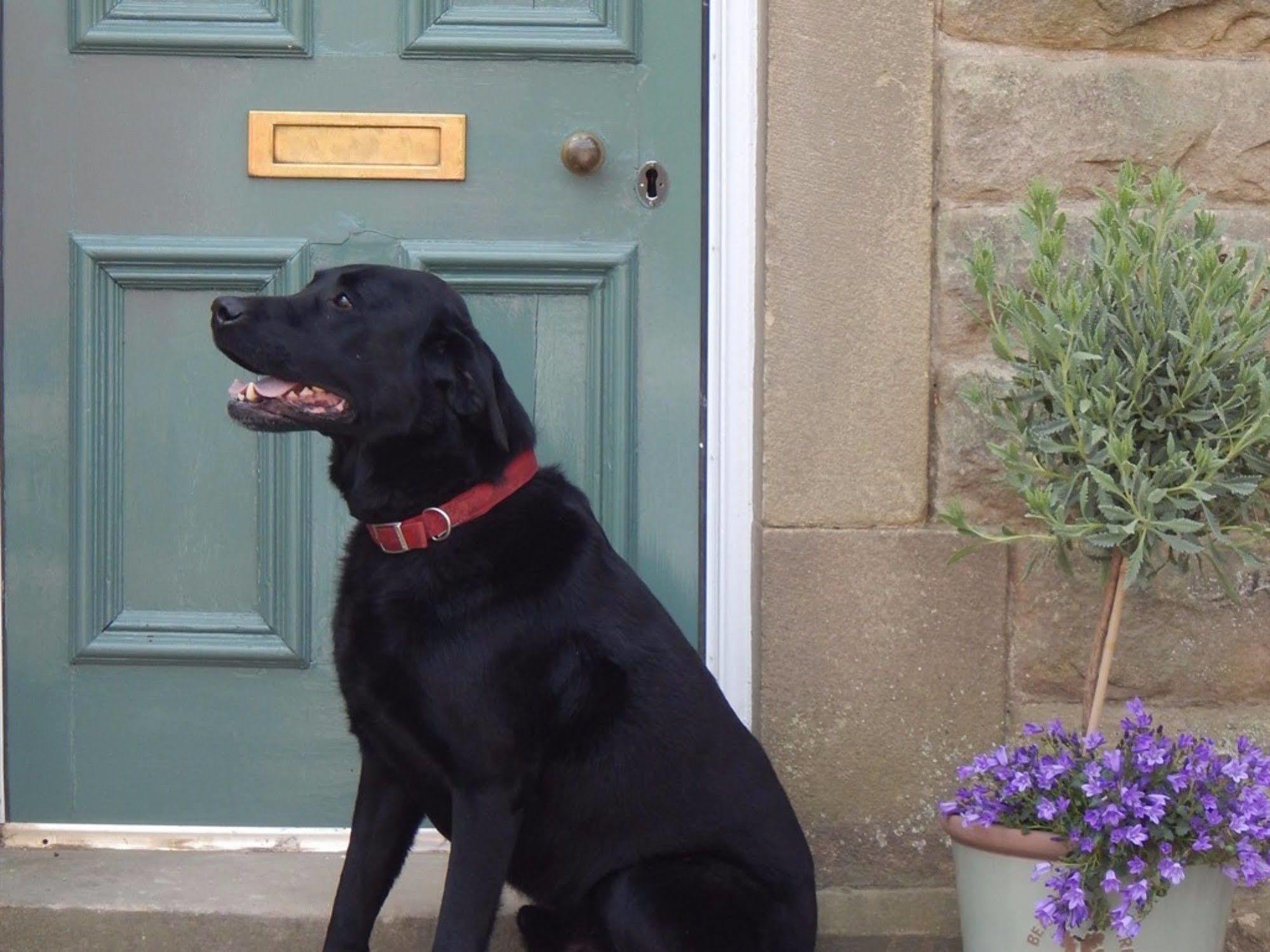 Bed and Breakfast Fern Bank Rowsley Exterior foto